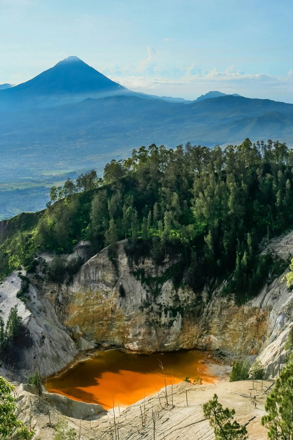 ¿Cuál es la mejor manera de aliviar la muda de plumas en un loro?